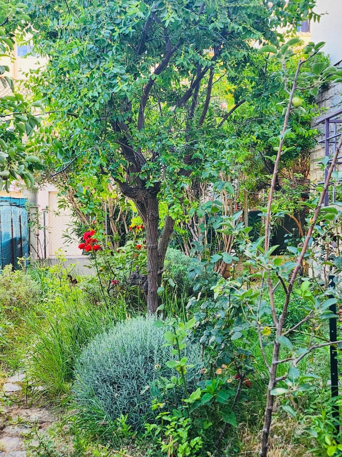 Appartement Paisible Pour 4 Personnes Montpellier Exteriér fotografie